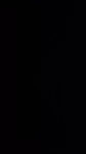 后入