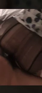 江浙沪